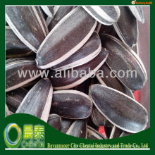 Supply Hulled Iran Market Sunflower Seeds